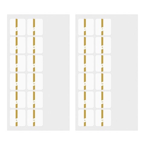 MIDORI Chiratto Index Label Months Gold Colors Planner Index Tabs Notebook Index Tabs Multi-color Index Tabs Multi-color Index Labels