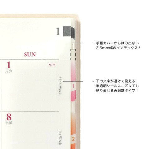 MIDORI Chiratto Index Label Months Rainbow Colors Planner Index Tabs Notebook Index Tabs Multi-color Index Tabs Multi-color Index Labels