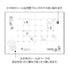 MONOTONE FLOWER Midori Seal Collection Two Sheets Planner Stickers Calendar Stickers Planning Stickers Rainbow Stickers | 2642
