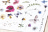 MU Lifestyle Print-On Stickers Fantasia Butterflies Garden Flowers Vernal Cosmos Rub-On Stickers Transfer Stickers Translucent Sticker | 240