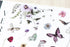 MU Lifestyle Print-On Stickers Fantasia Butterflies Garden Flowers Vernal Cosmos Rub-On Stickers Transfer Stickers Translucent Sticker | 240