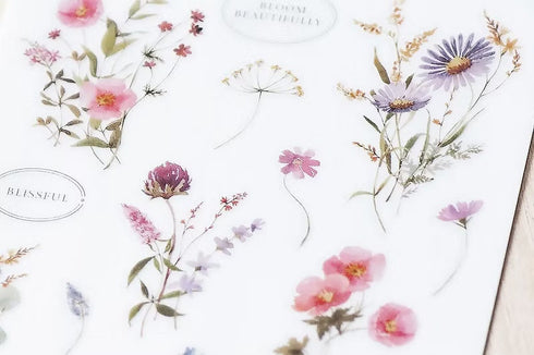 MU Lifestyle Print-On Stickers Positive Energy Clover Pink Flowers Chrysanthemum Rub-On Stickers Transfer Stickers Translucent Sticker | 241