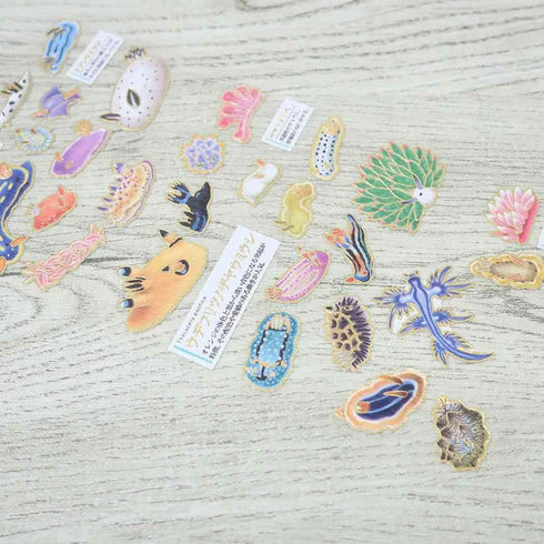 SEA SLUGS Kamio Japan Stickers Adult Visual Dictionary Sea Cucumbers Sea Life Bottom of the Sea GOLD Foil Stickers | 215282