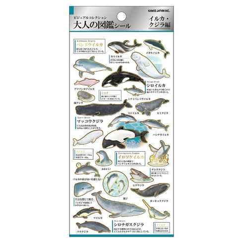 DOLPHIN WHALE Kamio Japan Stickers Adult Visual Dictionary Porpoise Orca Blue Whale Pink Dolphin GOLD Foil Stickers | 215283