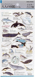 DOLPHIN WHALE Kamio Japan Stickers Adult Visual Dictionary Porpoise Orca Blue Whale Pink Dolphin GOLD Foil Stickers | 215283
