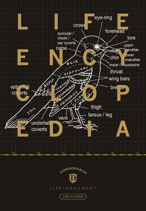 ANATOMY B6 Jiukoushan Life Encyclopedia 4.5mm Grid 100gsm Notebook Lay-Flat Notebook Ink-Friendly Notebook | 128 x 182mm x 15mm