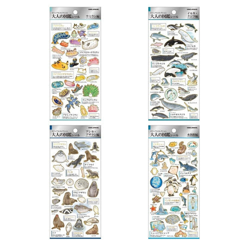 DOLPHIN WHALE Kamio Japan Stickers Adult Visual Dictionary Porpoise Orca Blue Whale Pink Dolphin GOLD Foil Stickers | 215283