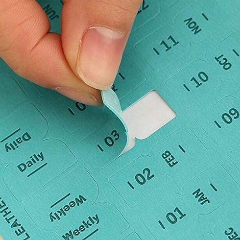 Colorful RED Cagie PU Leather Index Tabs Monthly Index Tabs