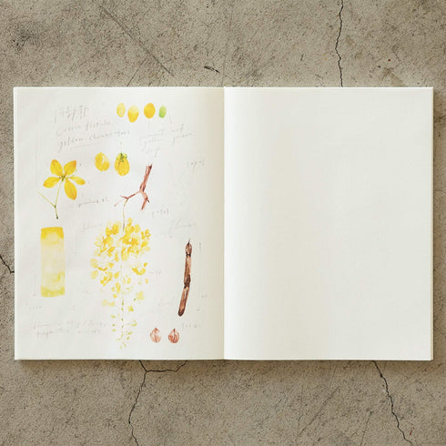 F2 Midori MD Blank Cotton Notebook Art Journal Fountain Pen Notebook Cotton Fountain Pen Paper