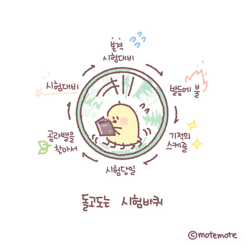 MoteMote MINI Multi-Color Graph Sticky Notes | USA Located!