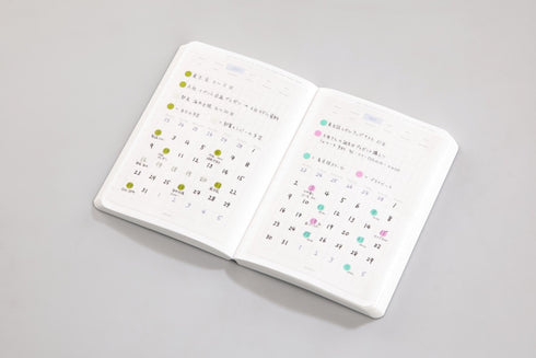 Stalogy Editor's Series 365Days Notebook | A6 Blue