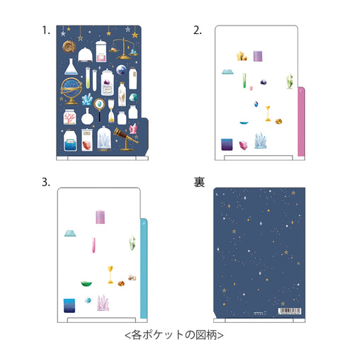 Midori MD A4 3 Pocket Clear Folder | Science