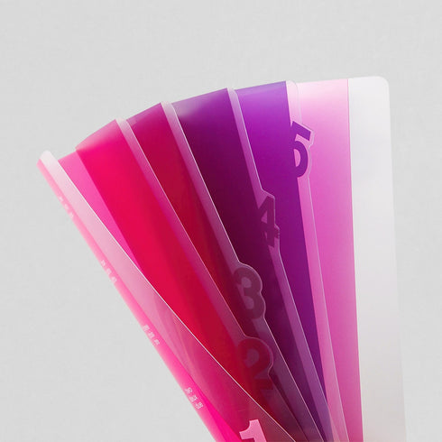 Midori MD A4 5 Pocket Clear Folder | Pink