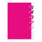 Midori MD A4 5 Pocket Clear Folder | Pink