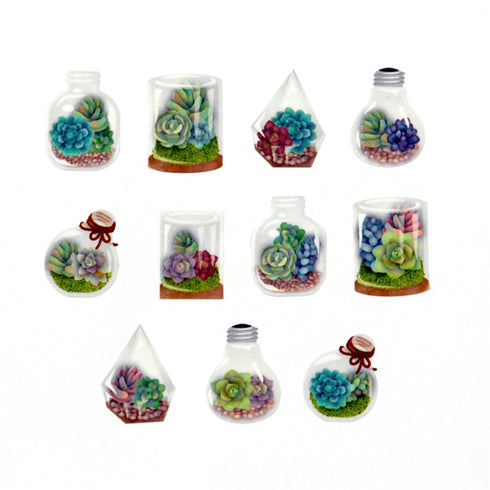 TERRARIUM | Bande Washi Tape Masking Tape Sticker Roll Cactus Seedum BDA474 200 Stickers