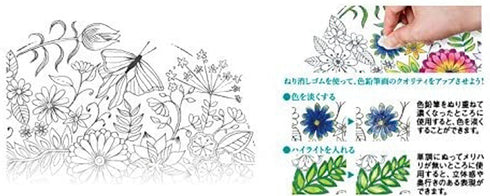 SEED KNEADABLE Eraser for Colored Pencils | EK-NK3