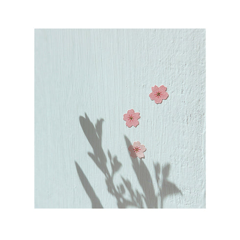 Suatelier Sonia PVC Transparent Stickers Mini Series 106 | Sakura Cherry Blossom