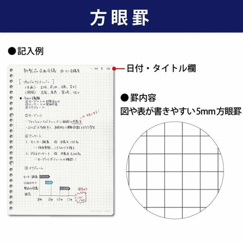 Kokuyo A5 Campus Biz Loose Leaf Paper 5 mm Graph Grid 20 Holes 120 Sheets | G806S-5