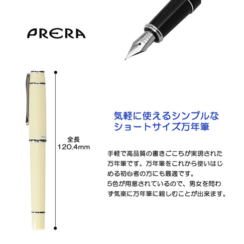 Pilot Prera Slate GRAY Fine Nib Fountain Pen | FPR-3SR-SGY