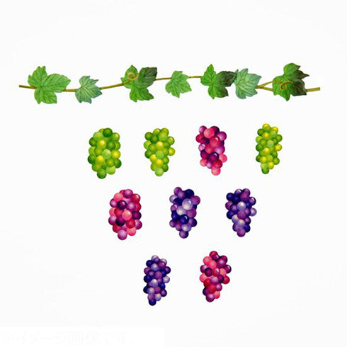 GRAPE VINE Bande Washi Tape Kit Masking Tape Kit Sticker Kit DOUBLE Roll | BDA567