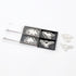 MIDORI E-Clip Etching Clip DINOSAURS T-Rex Pterodactyl Paper Clips