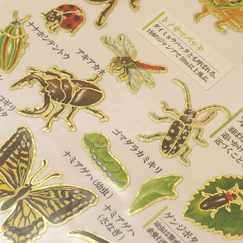 Kamio Japan Stickers INSECT Stickers Butterfly Stickers Dragonfly Stickers Praying Mantis GOLD FOIL Stickers Watercolor Stickers | 729226