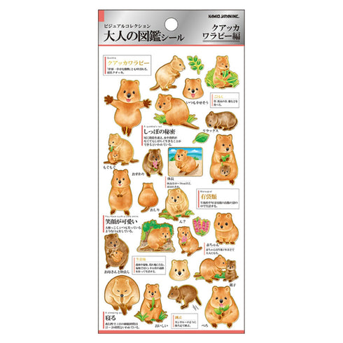 Kamio Japan QUOKKA Stickers Animal Stickers Wildlife Stickers | 202174