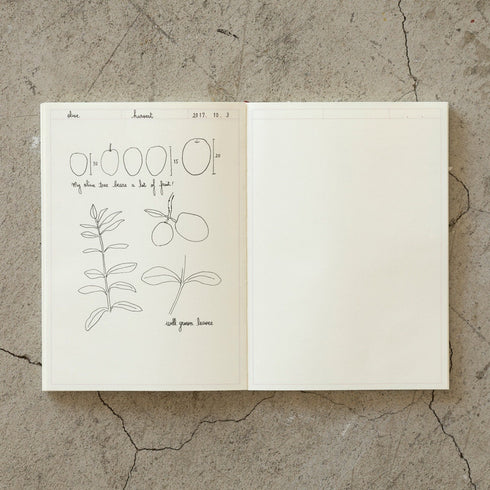 Midori A5 FRAME Journal Diary Notebook | A5 Frame
