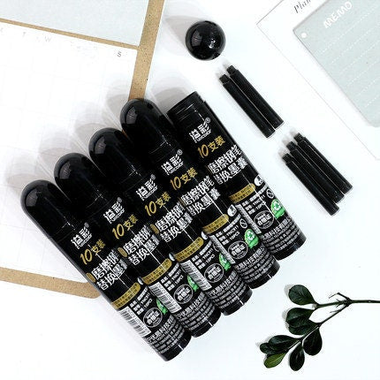 Dianshi ERASABLE Fountain Pen BLACK ink Cartridges