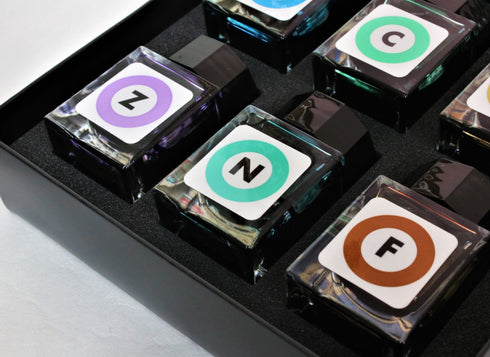 BUNGUBOX Japan TOKYO METRO Color Set Sheening Fountain Pen Ink Dip Pen Ink Bottle Ink | 9 - 20ml Bottles