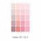 PAPERIAN PINK INDEX Color Palette Stickers Tabs Stickers Blank Stickers Index Tabs Stickers Color Coordinated Sticker | I02