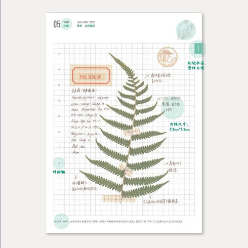 2024 B6 & A6 Papermood DOUBLE Book Tomoe River 52gsm One Day Per Page Cousin Techo Planner Notebook Journal | 256 Pages per book