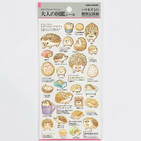 Kamio Japan Stickers HEDGEHOG HEDGEHOGS Adult Visual Dictionary GOLD Foil Stickers | 707284