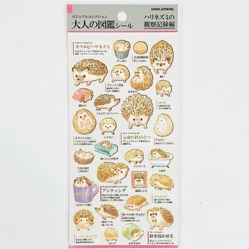 Kamio Japan Stickers HEDGEHOG HEDGEHOGS Adult Visual Dictionary GOLD Foil Stickers | 707284