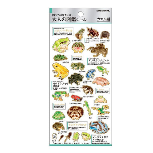 Kamio Japan Stickers FROGS AMPHIBIANS Adult Visual Dictionary Poison Dart Frog Tree Frog PacMan Frog Horned toad GOLD Foil Stickers | 726222