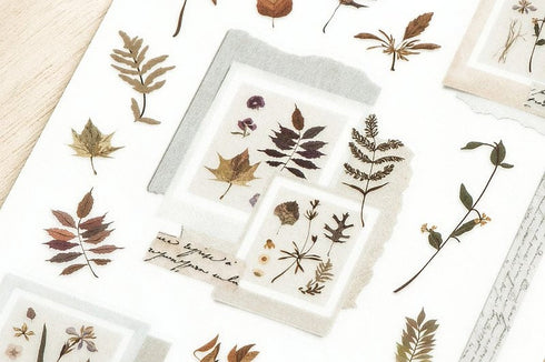 MU Lifestyle Print-On Stickers Rub -On Stickers Transfer Stickers Translucent Stickers 199 | Ferns Taped Pressed Flowers Autumn Mabon Acorns