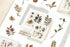 MU Lifestyle Print-On Stickers Rub -On Stickers Transfer Stickers Translucent Stickers 199 | Ferns Taped Pressed Flowers Autumn Mabon Acorns