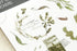 MU Lifestyle Print-On Stickers Rub-On Stickers Transfer Stickers Translucent Stickers 201 | Postage Ephemera Leaves Postage Stamps