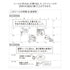 Midori Seal Collection WILDLIFE CHAT SERIES Planner Stickers Movable Stickers Notebook Stickers Coordinating Stickers | 2590