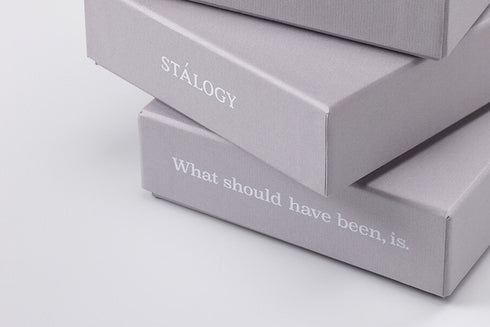 Stalogy Anniversary YELLOW Box Set Editor's Series FULL YEAR Notebook 10th Anniversary Edition Box Set Pen Book Band Editor's Notebook