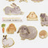 Kamio Japan Stickers RABBIT BUNNY Adult Visual Dictionary Rabbits Bunnies Miini Lop Himlayan Angora うさぎのうさぎ GOLD Foil Stickers | 211355