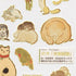Kamio Japan Stickers Japanese PAINTED ANIMALS Adult Visual Dictionary Cat Elephant Birds Mouse Mice 日本画の動 GOLD Foil Sticker | 211351