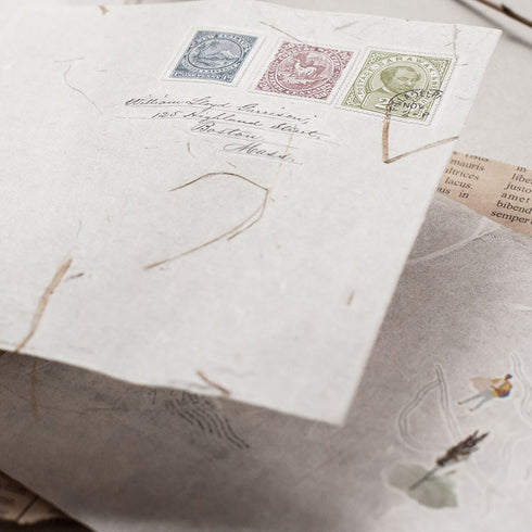 MU Lifestyle ANCIENT Trees Natural Textured Paper Ephemera Pressed Paper Translucent Paper Planner Paper *Read Description* | NTP-08