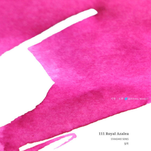 Dominant Industry Ink ROYAL AZALEA Standard Fountain Pen Ink Handmade Dip Pen Ink Hand Crafted Bottle Ink | 25ml