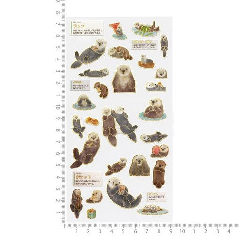 Kamio Japan Stickers SEA OTTERS Adult Visual Dictionary Sea Otters River Otters Baby Otters コツメカワウソ GOLD Foil Stickers | 211356