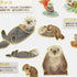 Kamio Japan Stickers SEA OTTERS Adult Visual Dictionary Sea Otters River Otters Baby Otters コツメカワウソ GOLD Foil Stickers | 211356