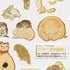 Kamio Japan Stickers Japanese PAINTED ANIMALS Adult Visual Dictionary Cat Elephant Birds Mouse Mice 日本画の動 GOLD Foil Sticker | 211351