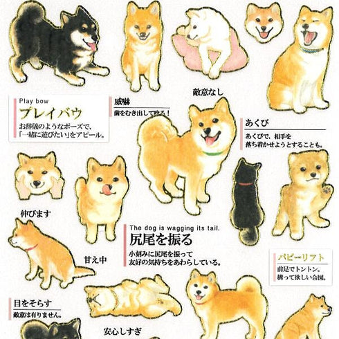 Kamio Japan Stickers SHIBA INU Feelings Shiba Emotions Adult Visual Dictionary Dog Pup Puppy 柴犬 GOLD Foil Stickers | 700650