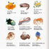 Kamio Japan Stickers DEEP SEA Life Adult Visual Dictionary Angler Fish Giant Squid Mantis Shrimp 深海 アンコウ ダイオウイカ GOLD Foil Stickers | 721387