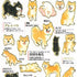 Kamio Japan Stickers SHIBA INU Feelings Shiba Emotions Adult Visual Dictionary Dog Pup Puppy 柴犬 GOLD Foil Stickers | 700650